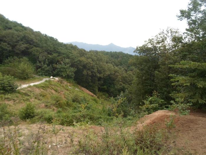 경기도 양평군 양서면 복포리 26-14 임야 경매 사진 10