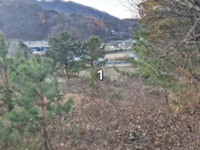 경기도 양평군 강하면 왕창리 443-11 대지 경매 사진 11