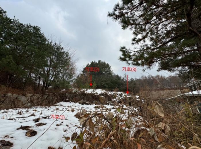 경기도 양평군 강하면 왕창리 443-11 대지 경매 사진 5