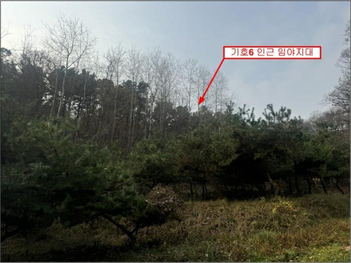 경기도 양평군 양서면 국수리 299-8 하천 경매 사진 11