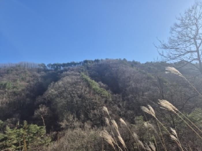 강원특별자치도 양양군 서면 영덕리 산2 임야 경매 사진 3