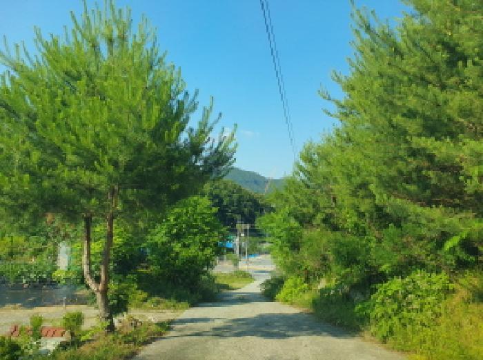 경기도 가평군 가평읍 달전리 497-28 공장 경매 사진 17