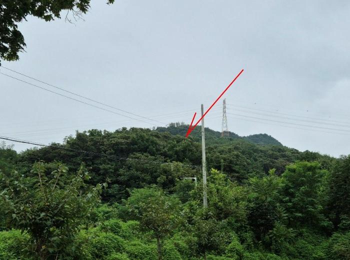 경기 이천시 임야