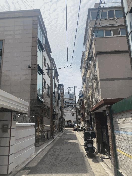 서울특별시 영등포구 대림동 906-56 다가구주택 경매 사진 5
