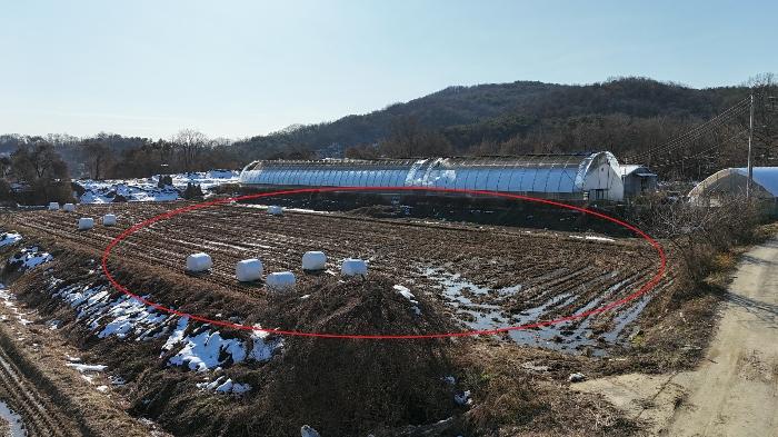 경기도 양평군 개군면 계전리 738-2 답 경매 사진 3