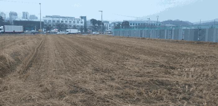 충청북도 청주시 상당구 남일면 효촌리 125 답 경매 사진 4