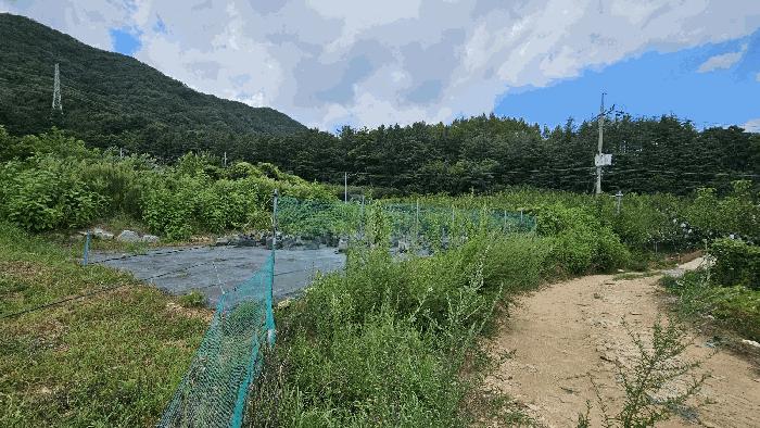 대전광역시 유성구 계산동 319-11 전 경매 사진 2