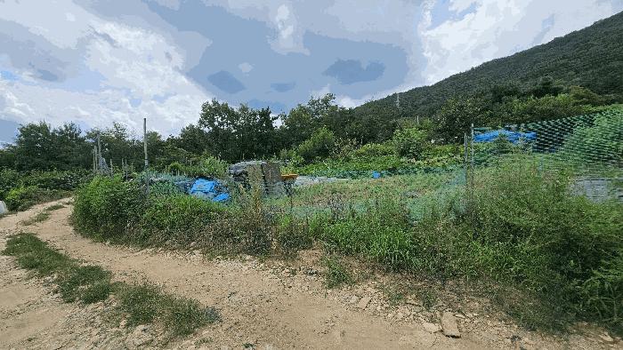 대전광역시 유성구 계산동 319-11 전 경매 사진 3