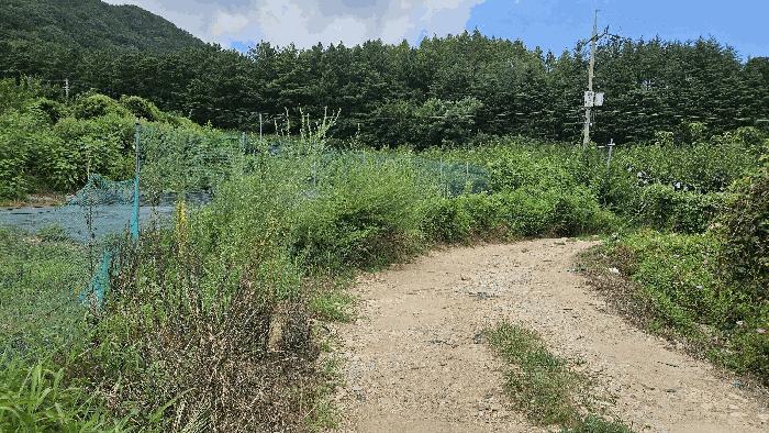 대전광역시 유성구 계산동 319-11 전 경매 사진 5