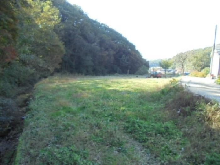 충청북도 보은군 장안면 장재리 112 대지 경매 사진 2