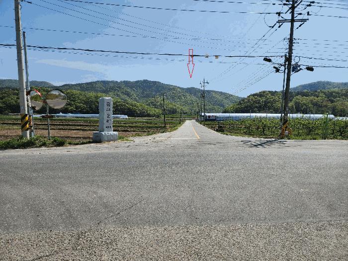 대구광역시 군위군 군위읍 금구리 산40 임야 경매 사진 4