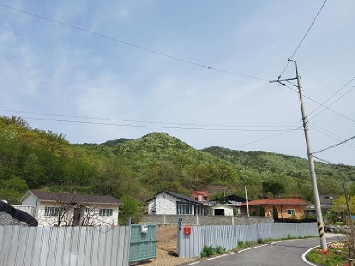 대구광역시 군위군 군위읍 금구리 산40 임야 경매 사진 5