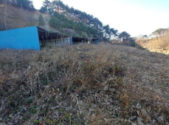 충청남도 금산군 금산읍 하옥리 243-1 창고 경매 사진 12