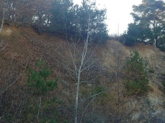 충청남도 금산군 금산읍 하옥리 243-1 창고 경매 사진 14