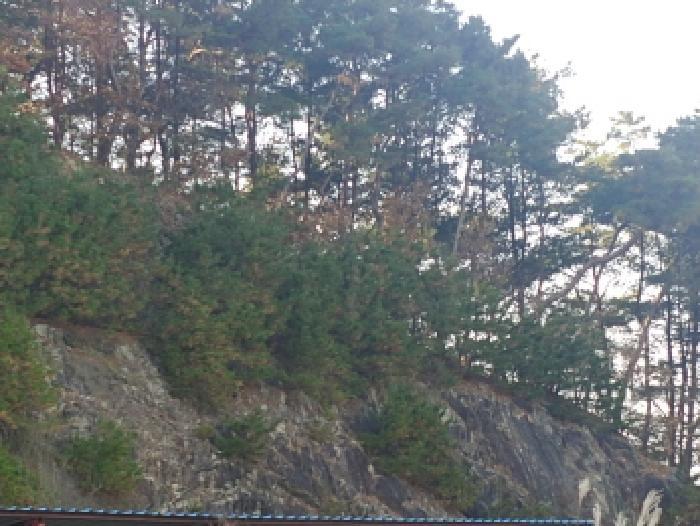 충청남도 금산군 금산읍 하옥리 243-1 창고 경매 사진 15