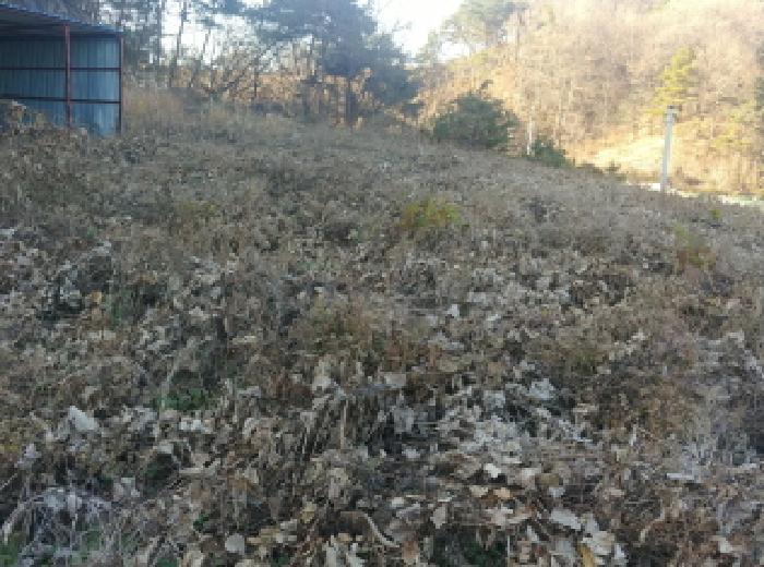 충청남도 금산군 금산읍 하옥리 243-1 창고 경매 사진 9