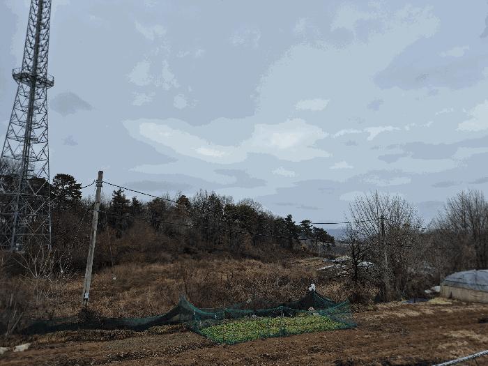 세종 장군면 임야
