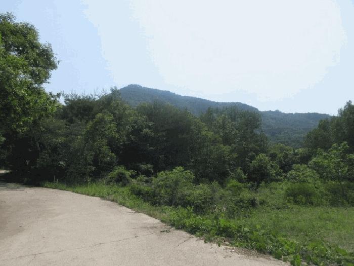 대구광역시 군위군 삼국유사면 화북리 산233-15 임야 경매 사진 11