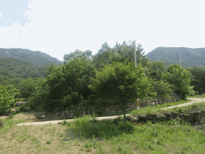 대구광역시 군위군 삼국유사면 화북리 산233-15 임야 경매 사진 2