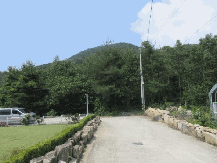 대구광역시 군위군 삼국유사면 화북리 산233-15 임야 경매 사진 5