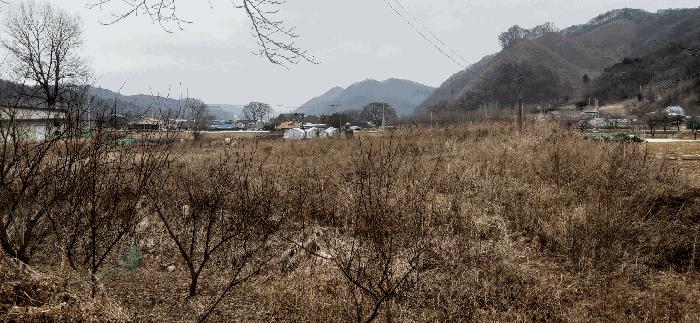 충청북도 괴산군 청안면 부흥리 65-1 답 경매 사진 2