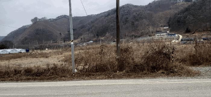 충청북도 괴산군 청안면 부흥리 65-1 답 경매 사진 4