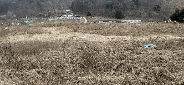 충청북도 괴산군 청안면 부흥리 65-1 답 경매 사진 5