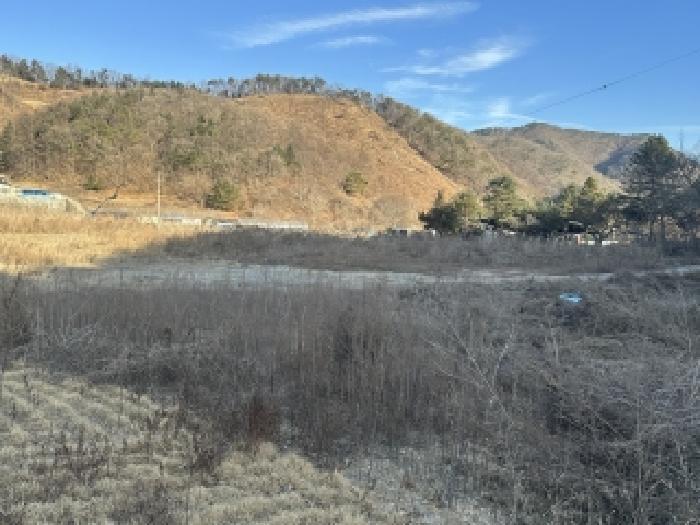 충청북도 괴산군 청안면 부흥리 65-1 답 경매 사진 7