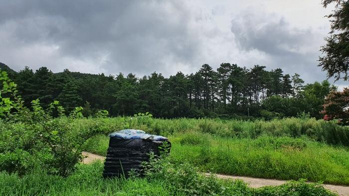 전라남도 장성군 진원면 율곡리 산2-55 임야 경매 사진 17