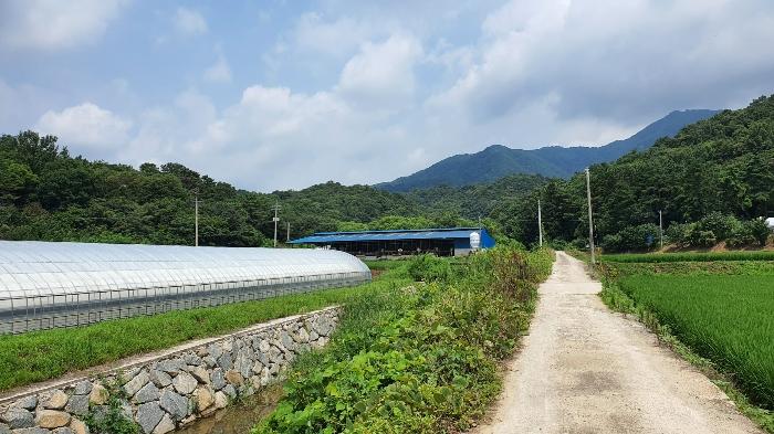 전라남도 장성군 삼계면 부성리 산78-1 임야 경매 사진 1