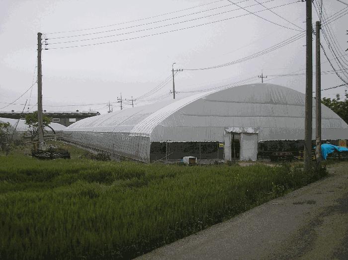 광주광역시 남구 승촌동 765 답 경매 사진 2