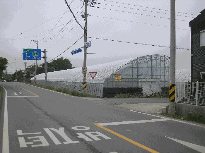 광주광역시 남구 승촌동 765 답 경매 사진 5
