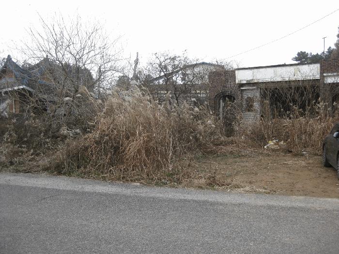 전라남도 나주시 산포면 내기리 774 주택 경매 사진 1