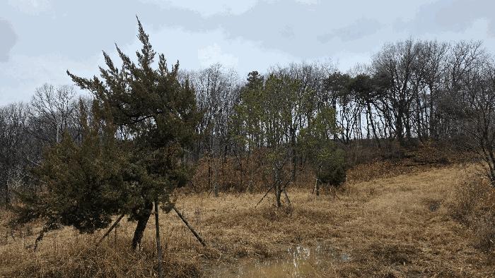 세종특별자치시 연기면 수산리 72-8 임야 경매 사진 10