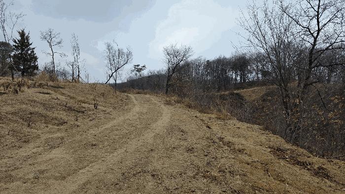 세종특별자치시 연기면 수산리 72-8 임야 경매 사진 11