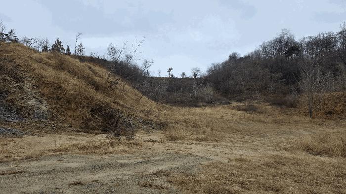 세종특별자치시 연기면 수산리 72-8 임야 경매 사진 12