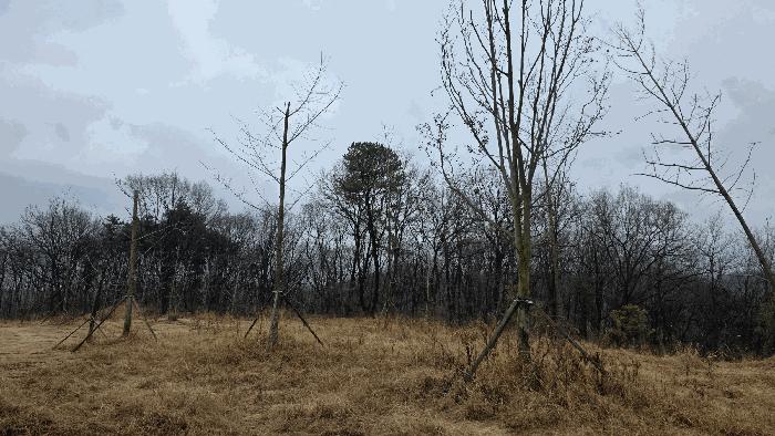 세종특별자치시 연기면 수산리 72-8 임야 경매 사진 13