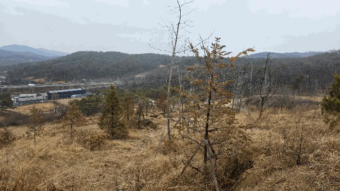 세종특별자치시 연기면 수산리 72-8 임야 경매 사진 14