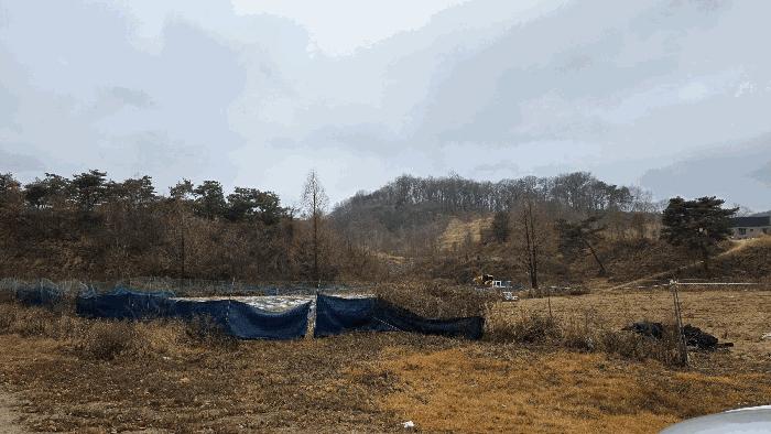 세종특별자치시 연기면 수산리 72-8 임야 경매 사진 5