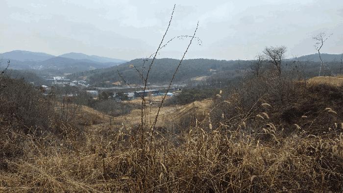 세종특별자치시 연기면 수산리 72-8 임야 경매 사진 9