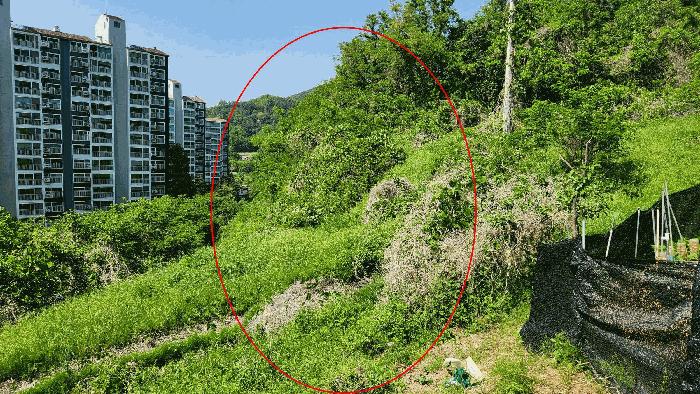경상북도 김천시 대지