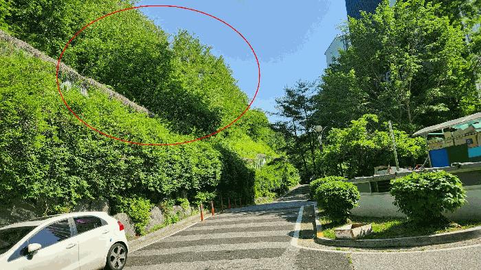 경상북도 김천시 교동 951 대지 경매 사진 2