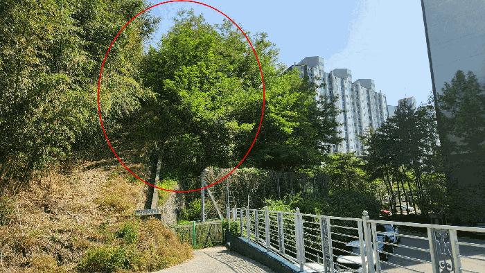 경상북도 김천시 교동 951 대지 경매 사진 3