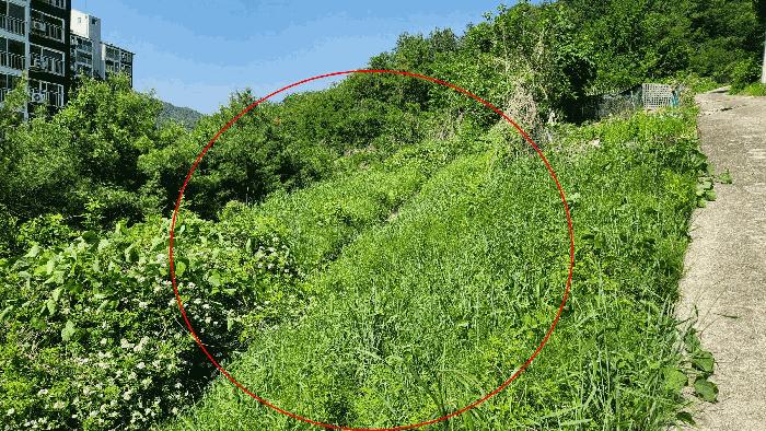경상북도 김천시 교동 951 대지 경매 사진 5