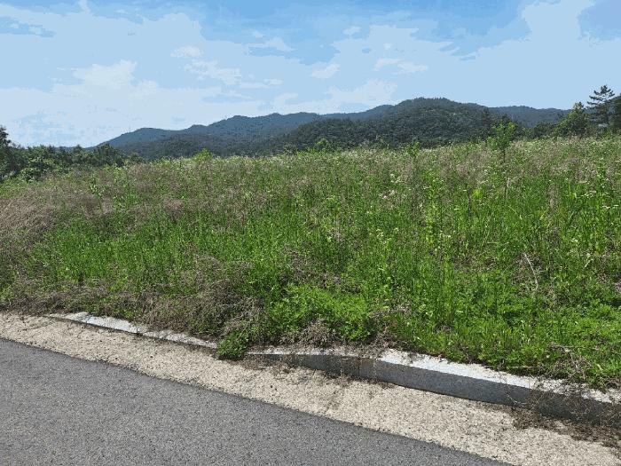 전라남도 나주시 남평읍 오계리 1279 대지 경매 사진 11