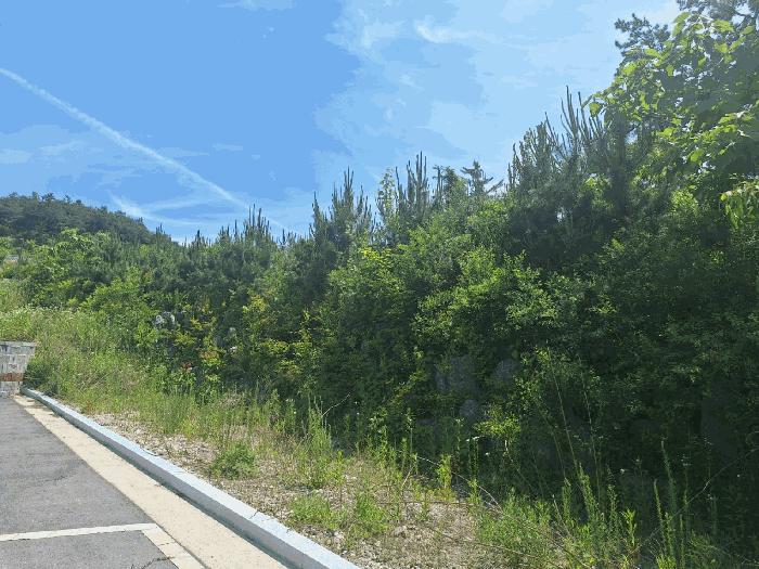 전라남도 나주시 남평읍 오계리 1279 대지 경매 사진 12
