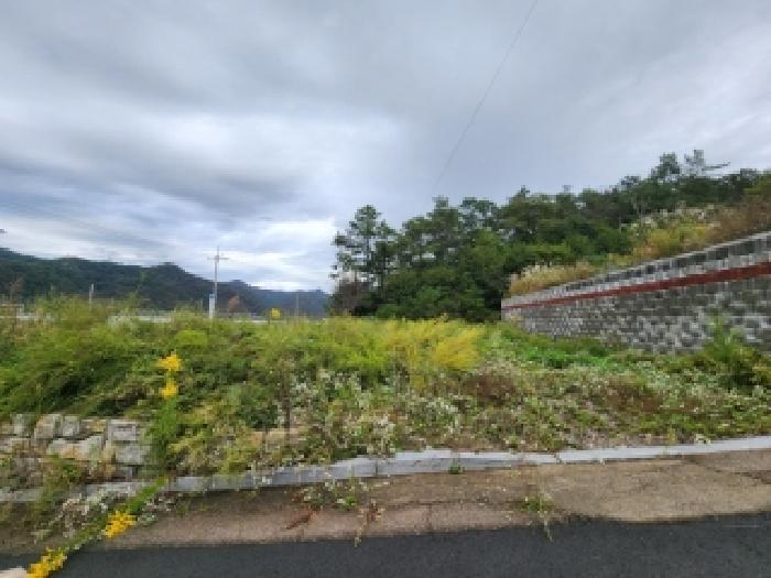 전라남도 나주시 남평읍 오계리 1277 대지 경매 사진 15