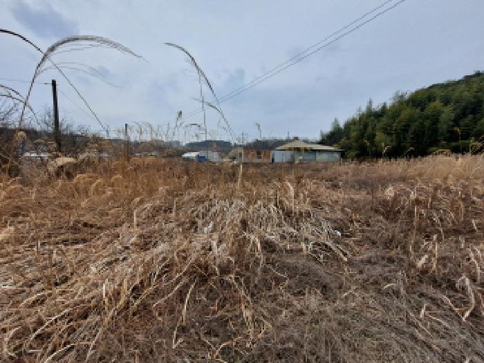 충청남도 당진시 송산면 유곡리 270-1 답 경매 사진 18