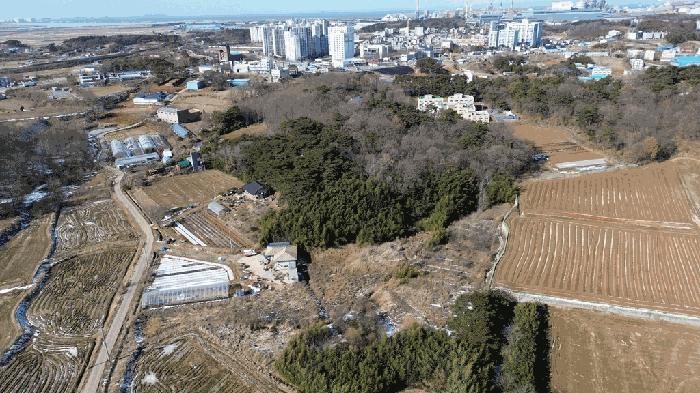 충청남도 당진시 송산면 유곡리 270-1 답 경매 사진 4