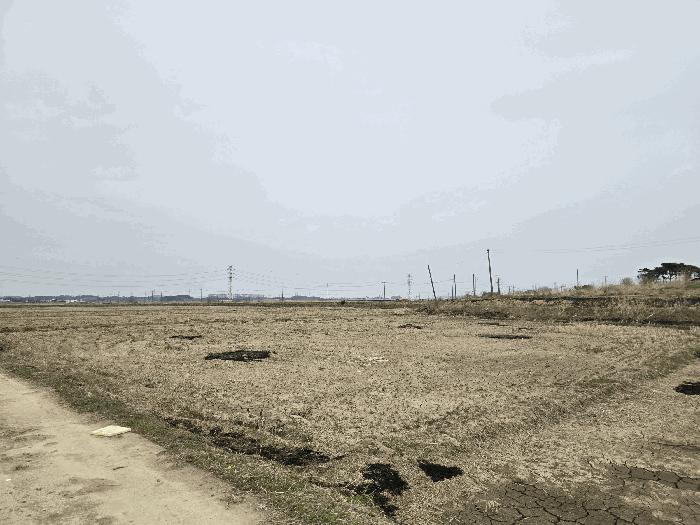 충청남도 당진시 신평면 도성리 206-2 답 경매 사진 1